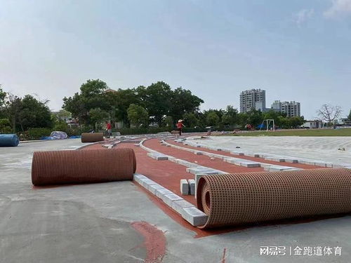 跑道新選擇 預(yù)制型塑膠的魅力