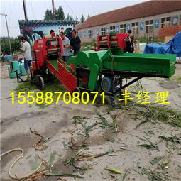 長沙青儲打捆機 專業(yè)廠家與服務，賦能糧食加工食品生產